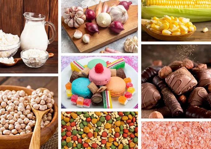 food processing machinery manufacturer