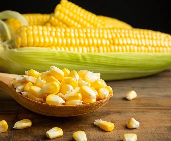 corn