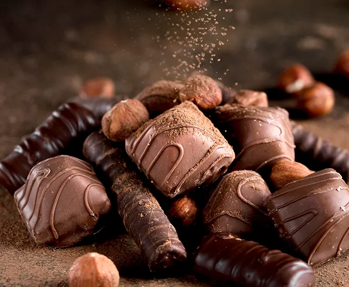chocolate processing machinery