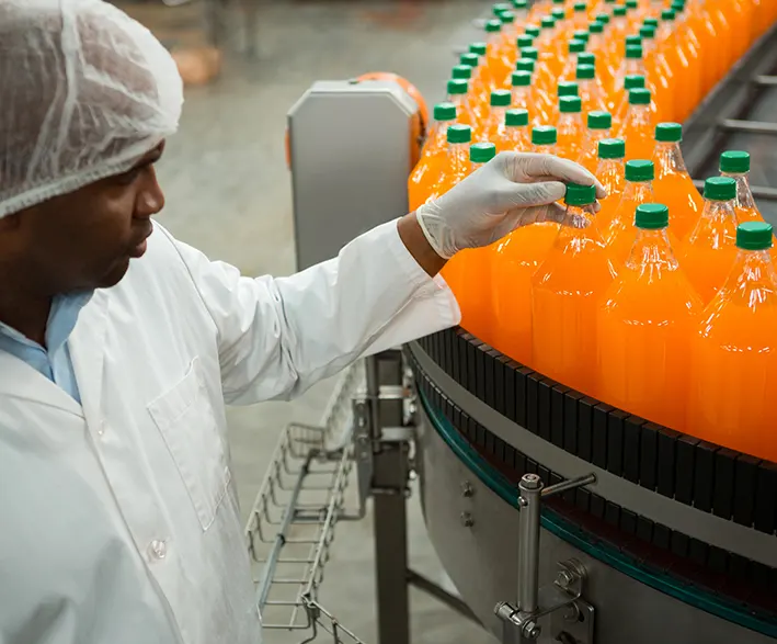 food processing machinery manufacturer